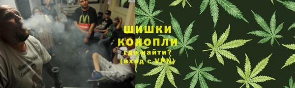 эйфоретик Богородск