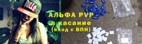 ГАЛЛЮЦИНОГЕННЫЕ ГРИБЫ Строитель