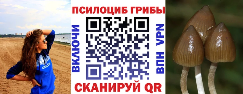 Галлюциногенные грибы MAGIC MUSHROOMS  Кстово 