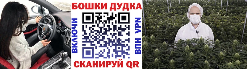 Конопля планчик  Кстово 